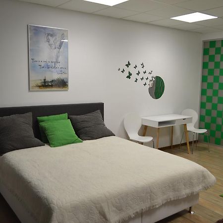 Vasarely Luxury Flat Apartment Satu Mare Bagian luar foto